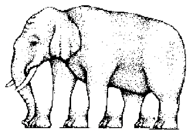5_legged_elephant